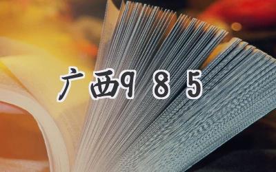广西985