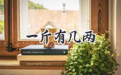 一斤有几两
