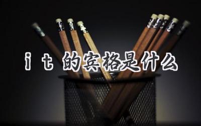 it的宾格是什么