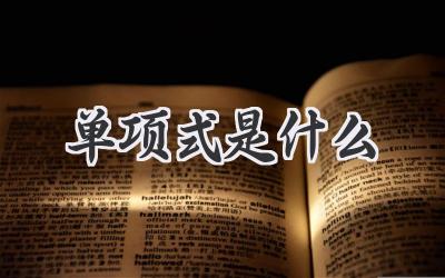 单项式是什么
