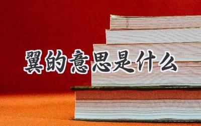 翼的意思是什么
