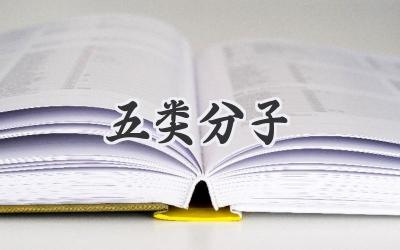 五类分子