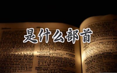 是什么部首