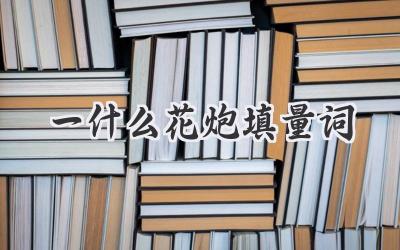 一什么花炮填量词