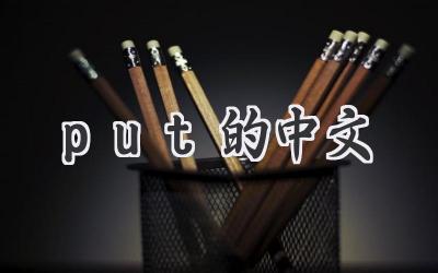 put的中文
