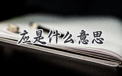 应是什么意思