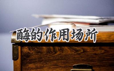 酶的作用场所