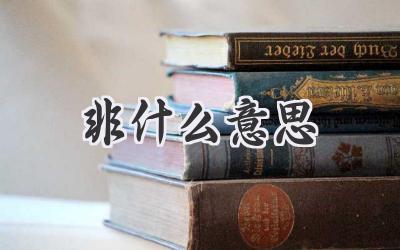 非什么意思