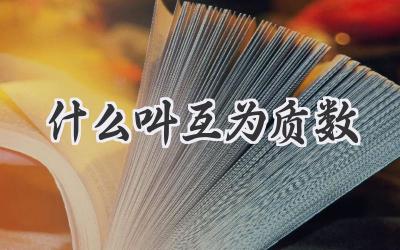 什么叫互为质数