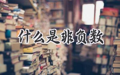 什么是非负数