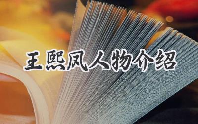 王熙凤人物介绍