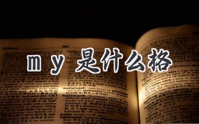 my是什么格