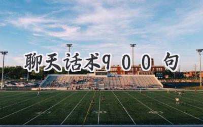 聊天话术900句