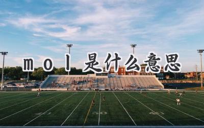 mol是什么意思