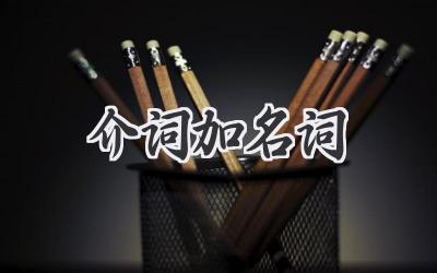 介词加名词