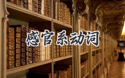 感官系动词