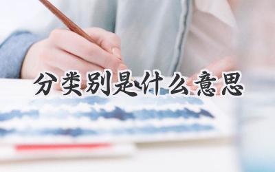 分类别是什么意思