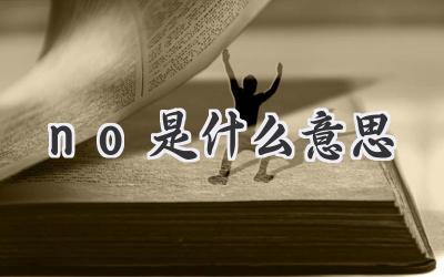no是什么意思