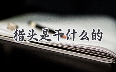 猎头是干什么的