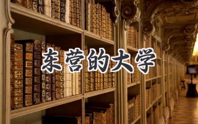 东营的大学