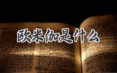 欧米伽是什么