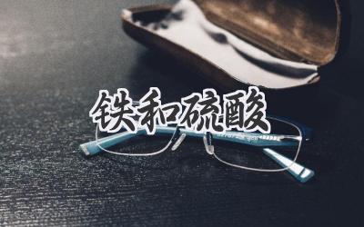铁和硫酸