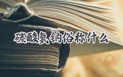 碳酸氢钠俗称什么