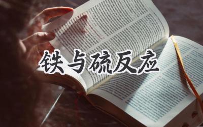 铁与硫反应