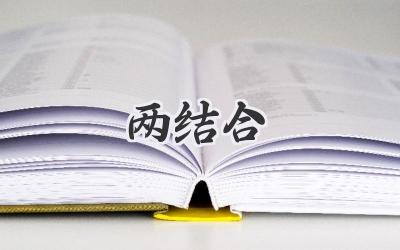 两结合
