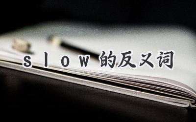 slow的反义词