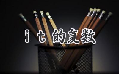it的复数