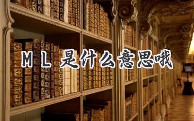 ML是什么意思哦