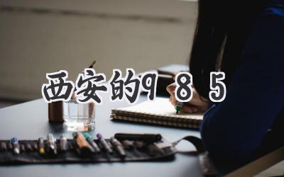 西安的985