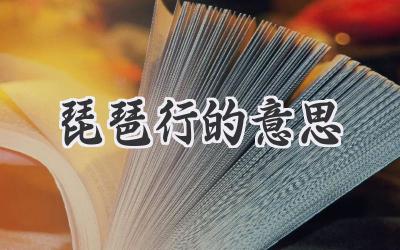 琵琶行的意思