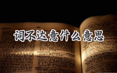 词不达意什么意思