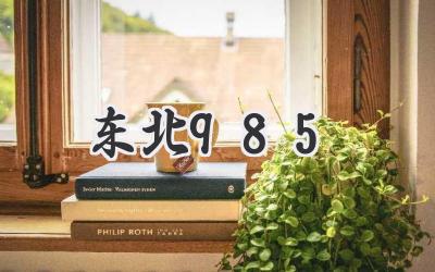 东北985