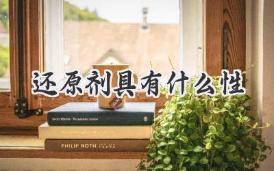 还原剂具有什么性