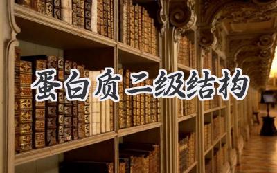 蛋白质二级结构