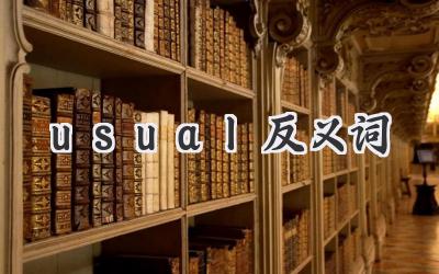 usual反义词