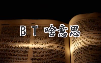 BT啥意思