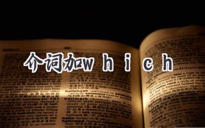 介词加which