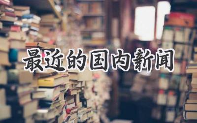 最近的国内新闻