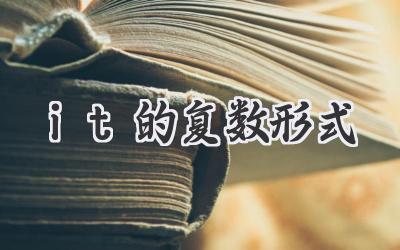 it的复数形式