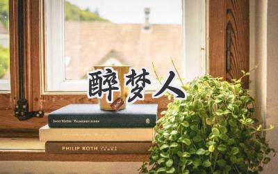 醉梦人