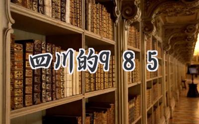 四川的985