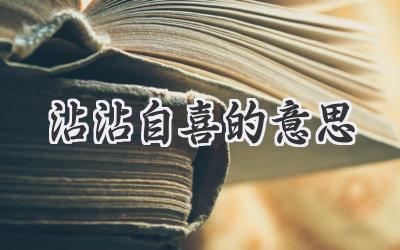 沾沾自喜的意思