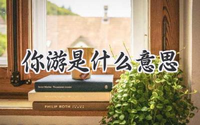 你游是什么意思