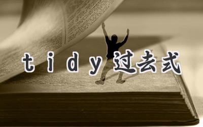 tidy过去式