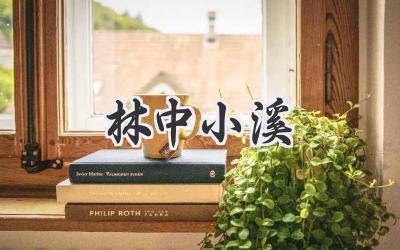 林中小溪