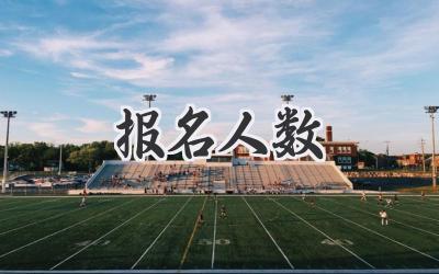 报名人数